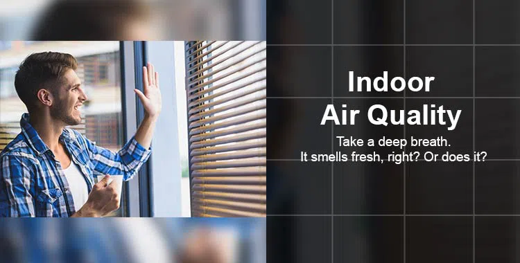 #bslide3 logo-image - banner-03